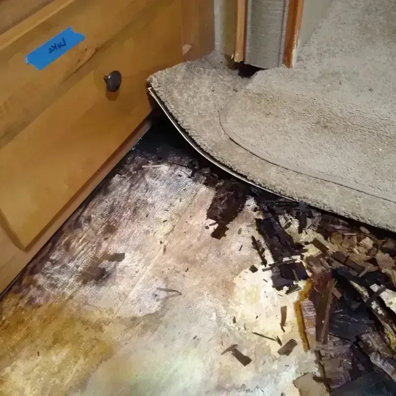 Wood Floor Water Damage in Leon County, FL